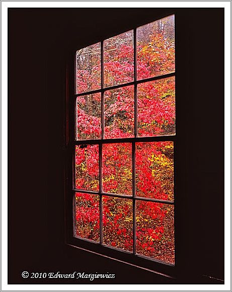 450692   From inside Mingus Mill during a rain storm, window 4